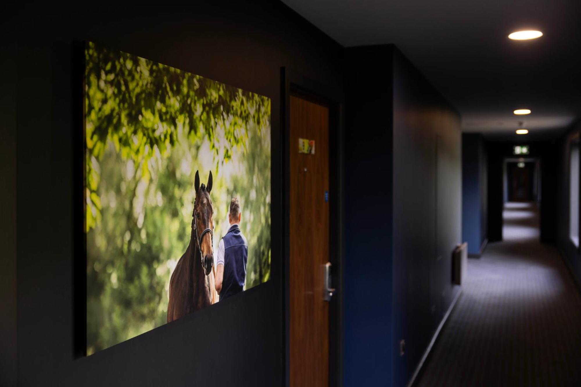 The Club Hotel At Goffs Naas Bagian luar foto